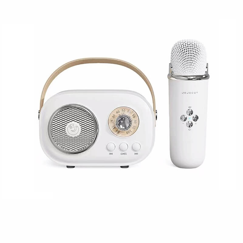C20 PLUS PORTABLE WIRELESS BLUETOOTH KARAOKE SPEAKER WITH MICROPHONE